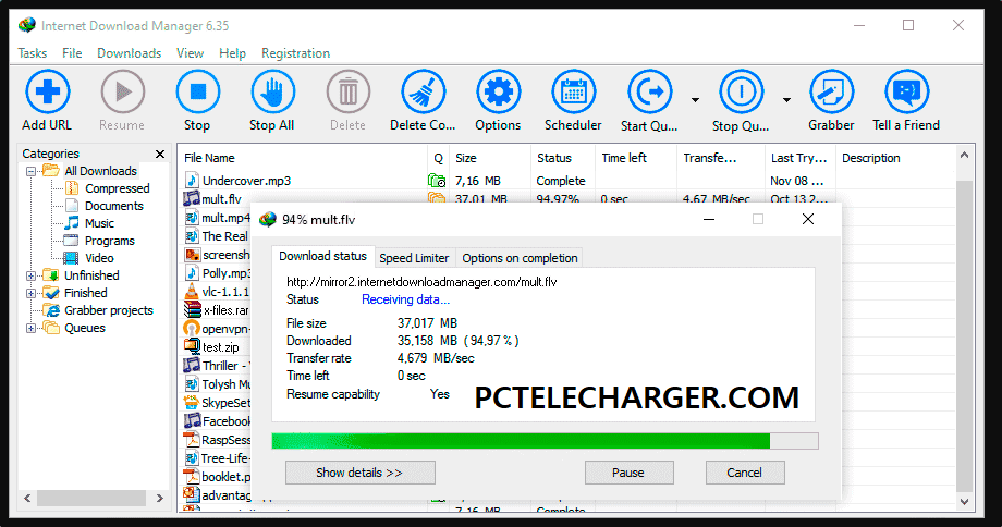 Télécharger IDM